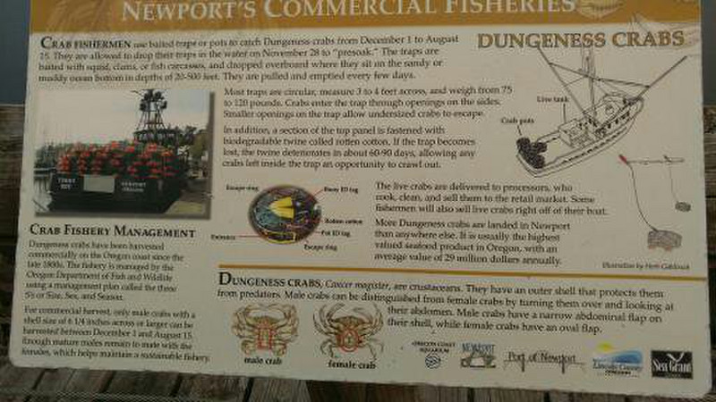 All Along the Harbor Walk, Placards Tell the Story of Commercial Fishing in Newport