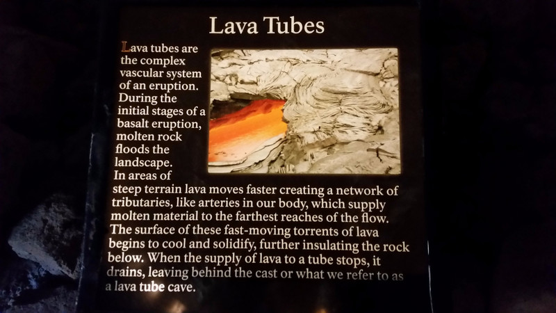 Lighted Informational Placards Explain Lava Tube Formation and the Accompanying Ecosystem to the Visitor