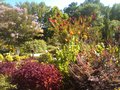 Chris' choice - Botanical Garden