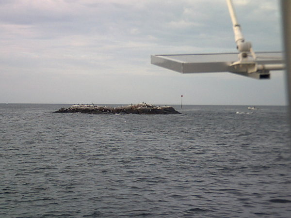 The breakwater at Rockport