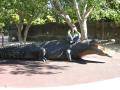 Australia Zoo Sitting on a Crocodile