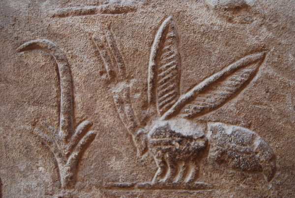 Karnak hieroglyphics