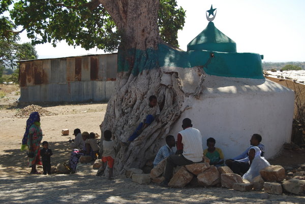 Tree/mosque