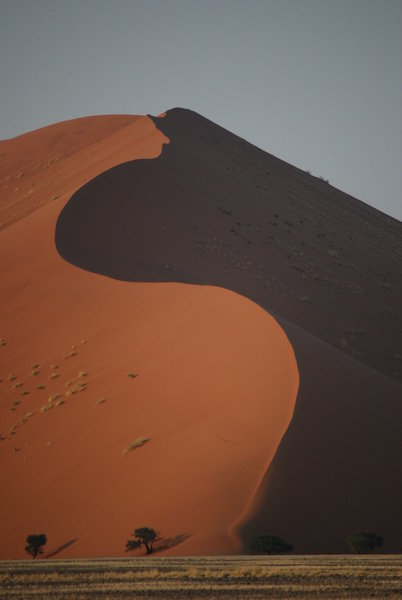 Looming dune