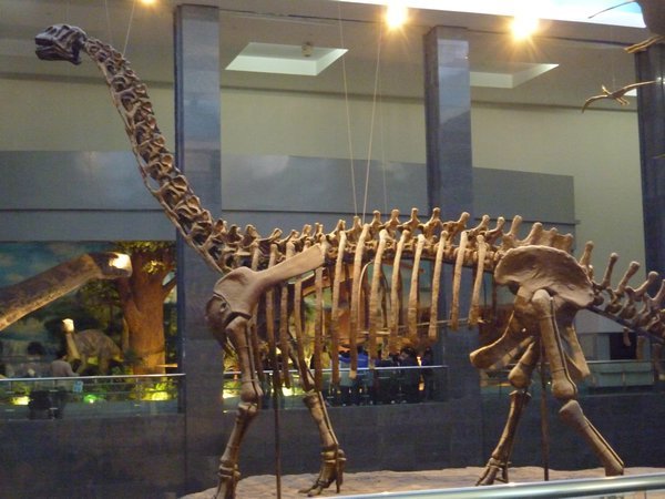 Dinosaur Fossil in Hohhot