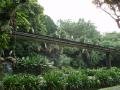 Jurong Bird Park 5