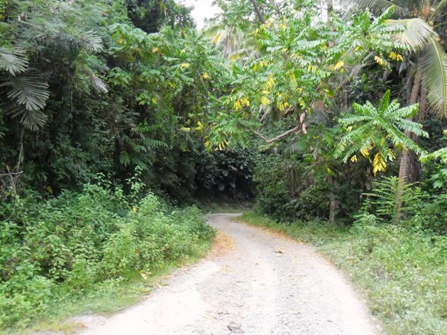 Road to Guisian