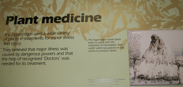 Learned lots about Bush Medicine