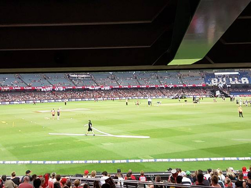 Cricketers warming up