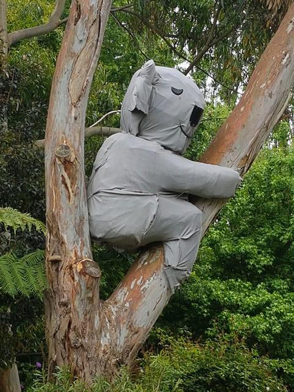 Giant koala at Ashcombe