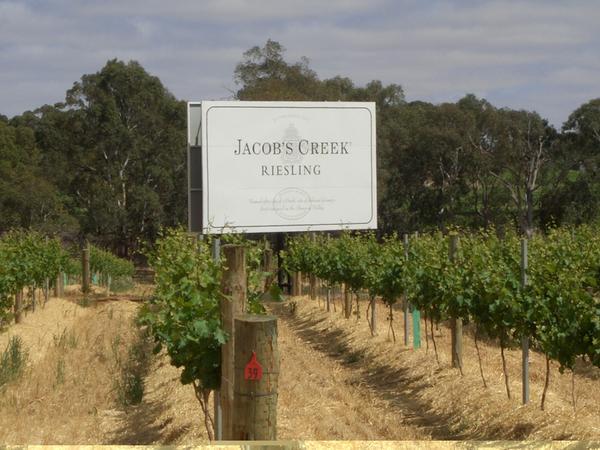 Famous winery