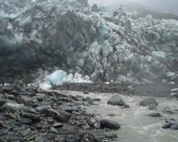 Terminal face of Fox Glacier