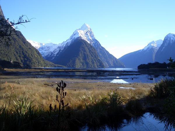 The view that you get when walking to the dock at Milford Sound!