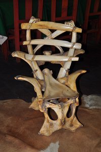 Horse bone chair