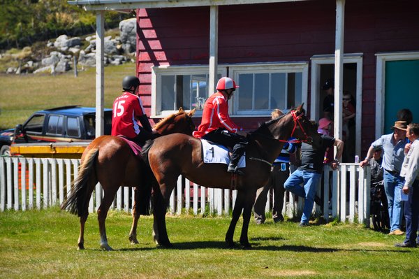 Horse races on Boxing Day in Stanley