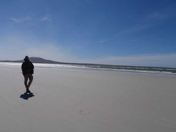 Walking backwards to get a break from the wind on the beach on Pebble Island