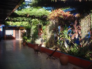 Courtyard at our hostel in Puerto Iguazu, Argentina