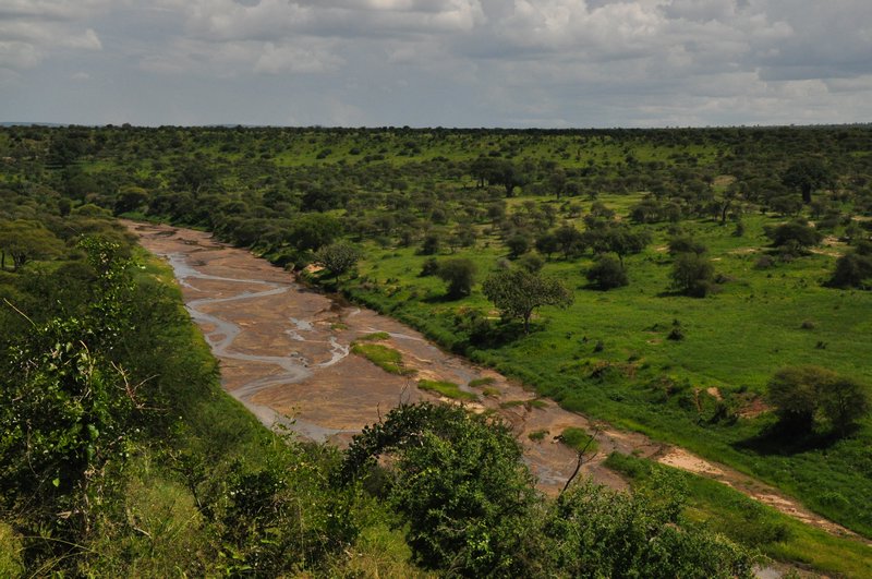 The Tarangire River