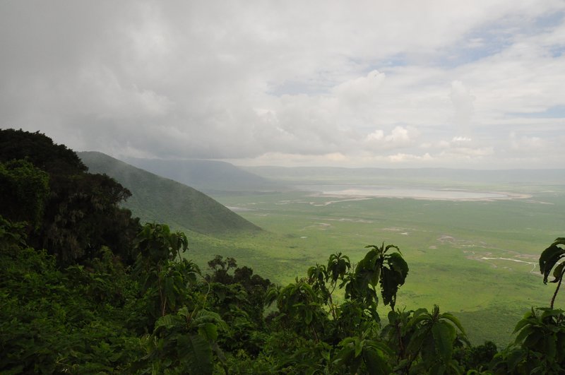 At the top of Ngorongoro Crater