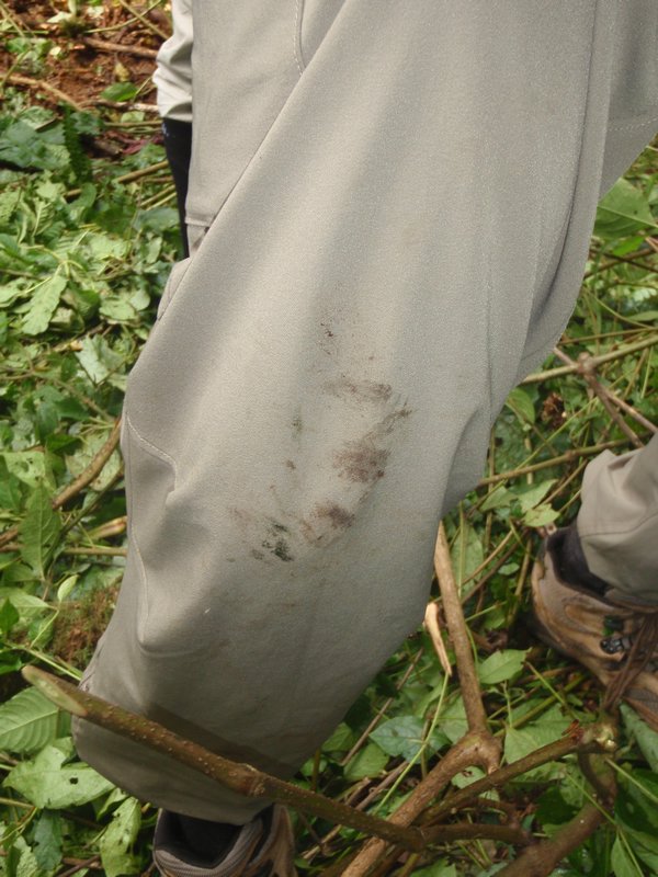 Gorilla handprint on Chuck's pants!