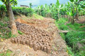 Making bricks in the village