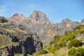 Scenery on the way up Mount Kenya 