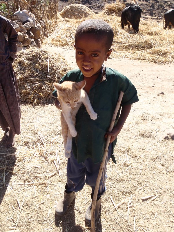 Young boy with a kitten