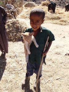 Young boy with a kitten