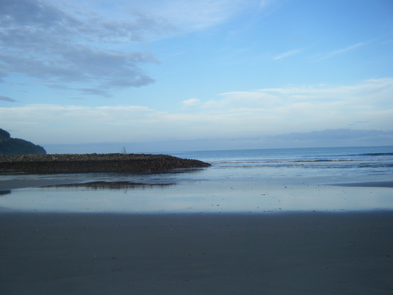 Estuary low tide