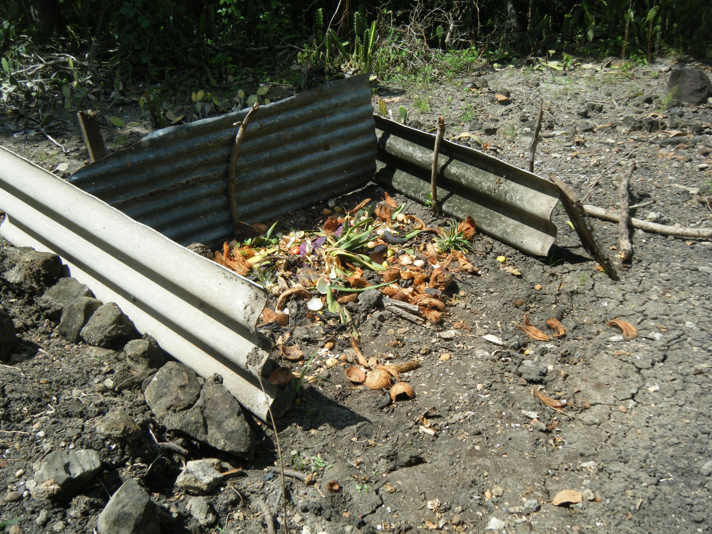 Compost heap Photo