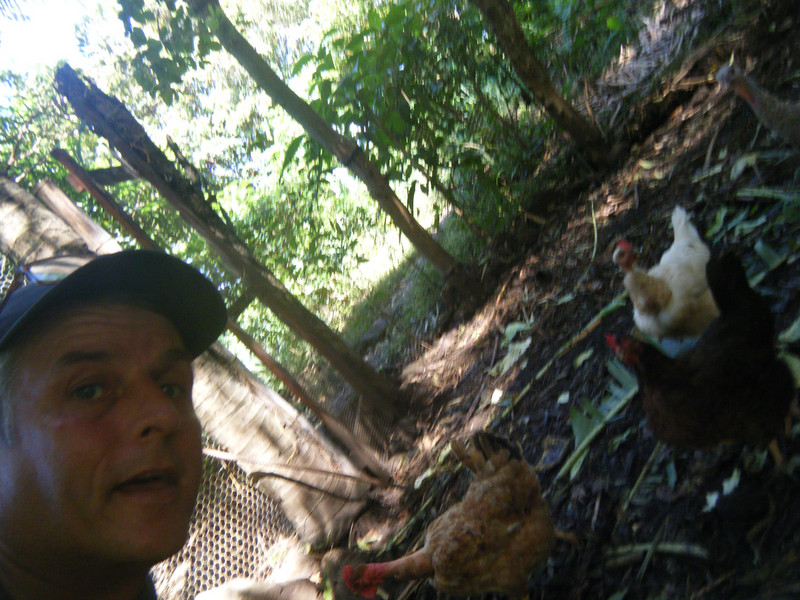 Me and the chickens