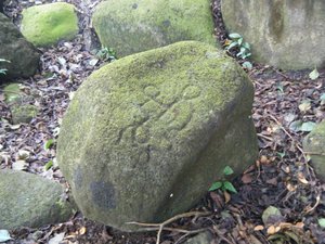 Petroglyphs2