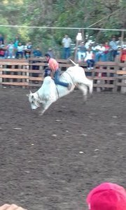 Ride em cowboy