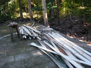 Splitting the bamboo