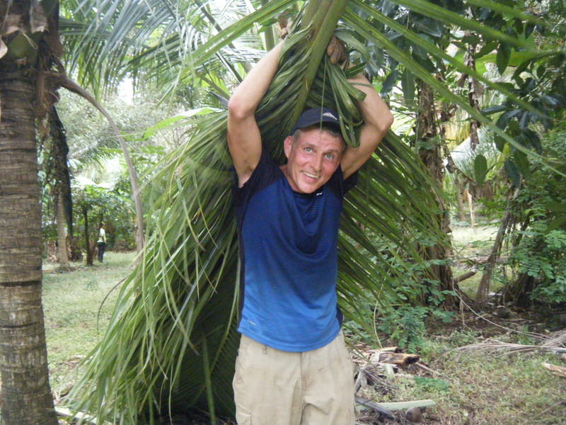 Collecting palm leaves for a roof