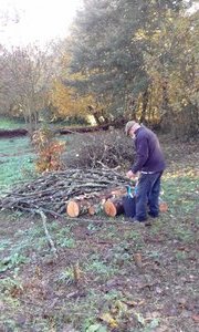 With Roy sorting the tree we cut down