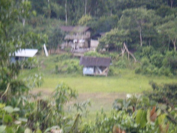 Community in the Amazon