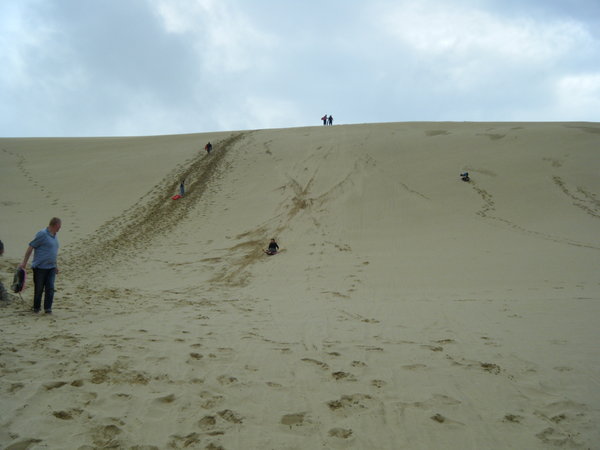 Sledging down the dunes