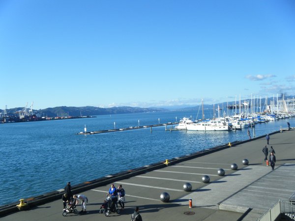 Sunny Welly harbour
