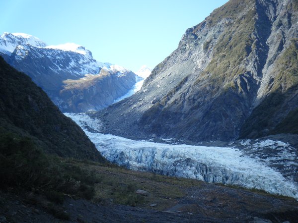 Fox Glacier valley walk