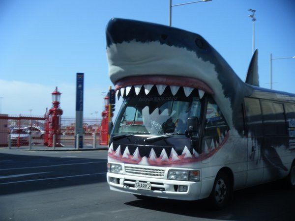 Aquarium bus!