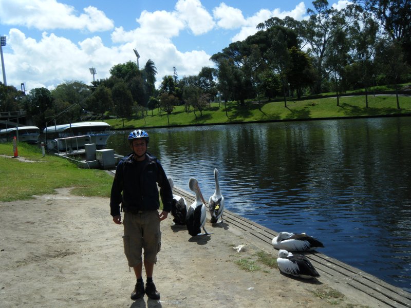 Me and some pelicans