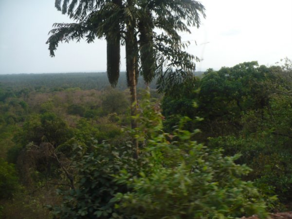 Goan Landscape