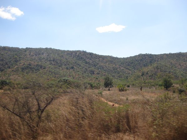 Zambian Countryside