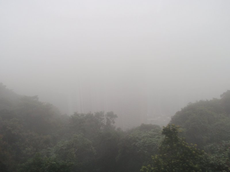 Foggy View From The Peak