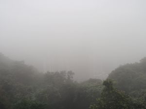 Foggy View From The Peak