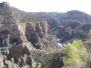 Salt Springs Canyon