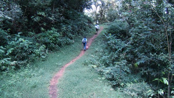 Trek route to Brahmagiri hill