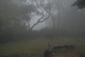 Morning mist near Narimale