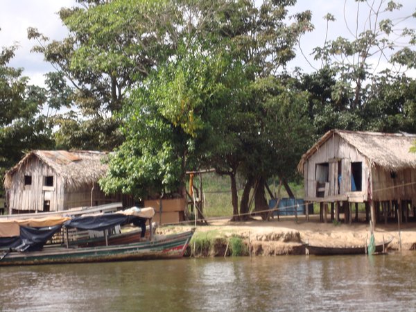 Amazon river Life